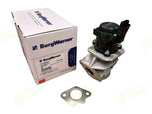 AGR-Ventil BorgWarner Neu | Nr. 711020D