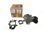 AGR-Ventil BorgWarner Neu | Nr. AGRV795101
